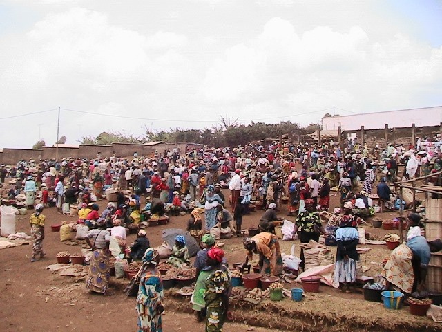 Target population in a rural area
              