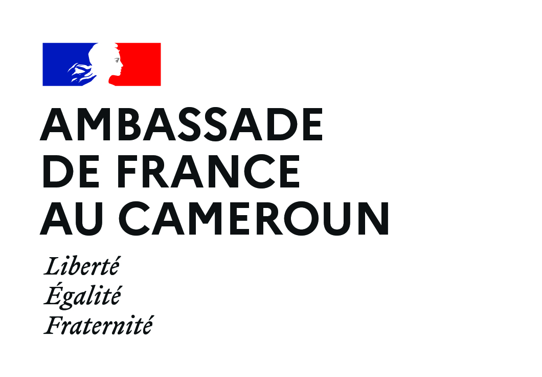 Ambassade De France Au Cameroon